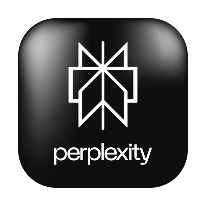 perplexity